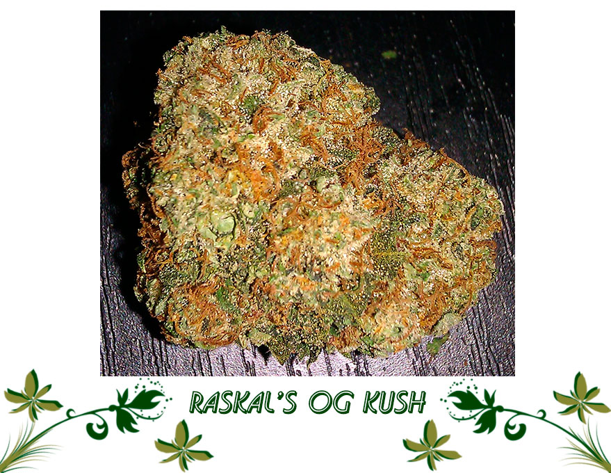 Raskal’s OG Kush сорт