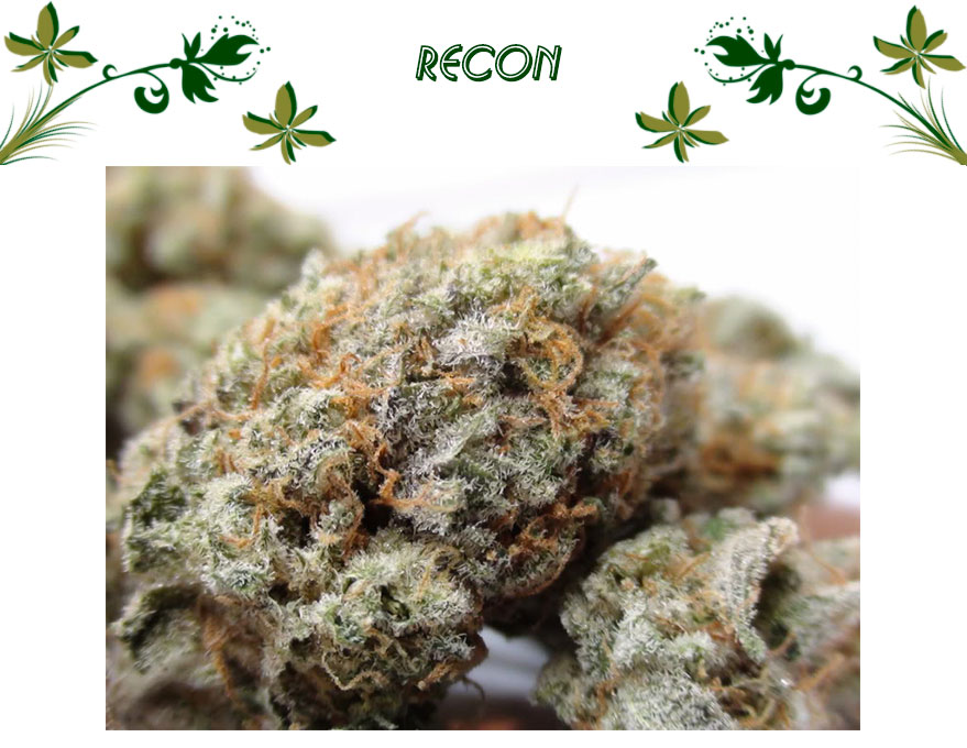 ReCon