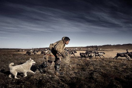 reindeer And people02