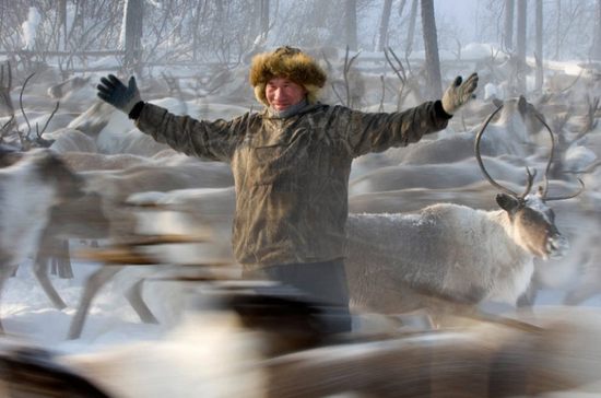 reindeer And people03