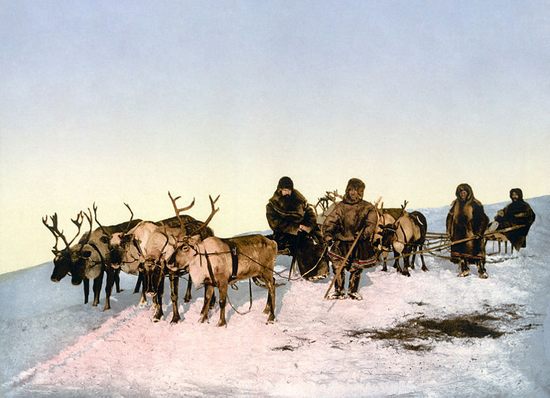 reindeer And people04