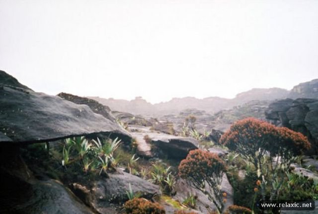 Roraima 004