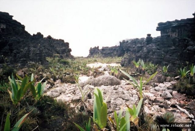 Roraima 005