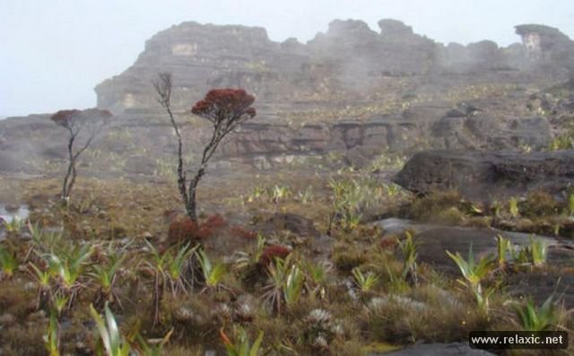 Roraima 007