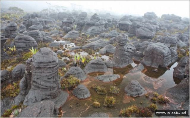 Roraima 008