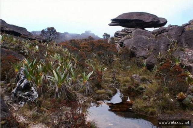 Roraima 011