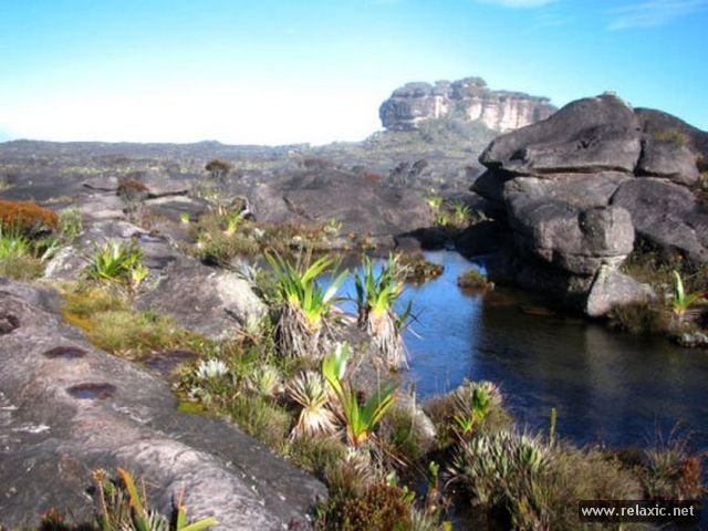 Roraima 012