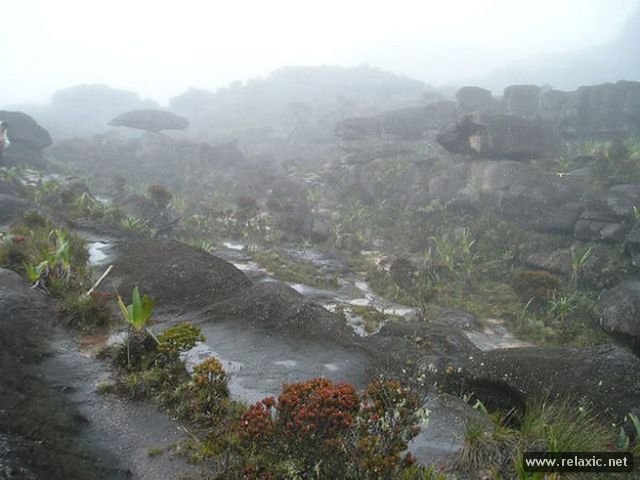 Roraima 013