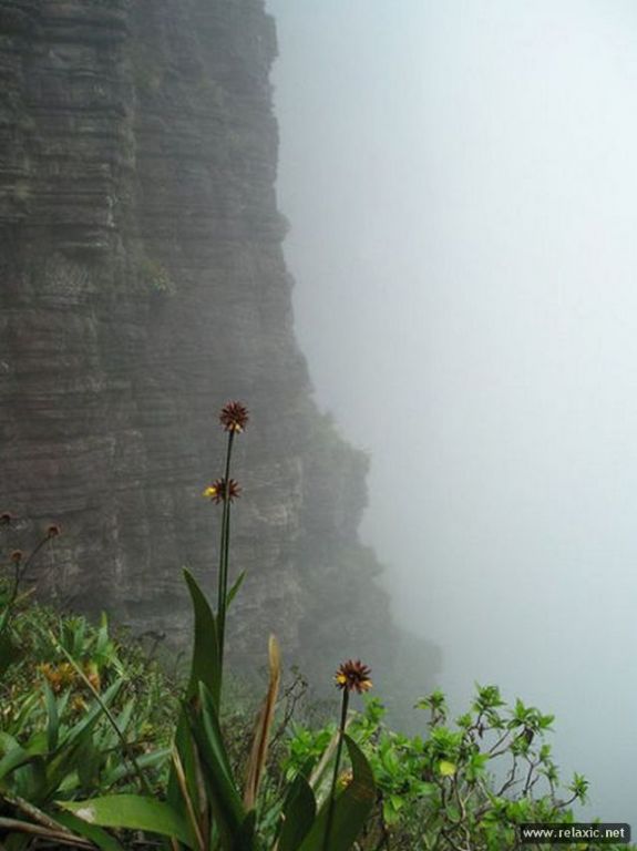 Roraima 017