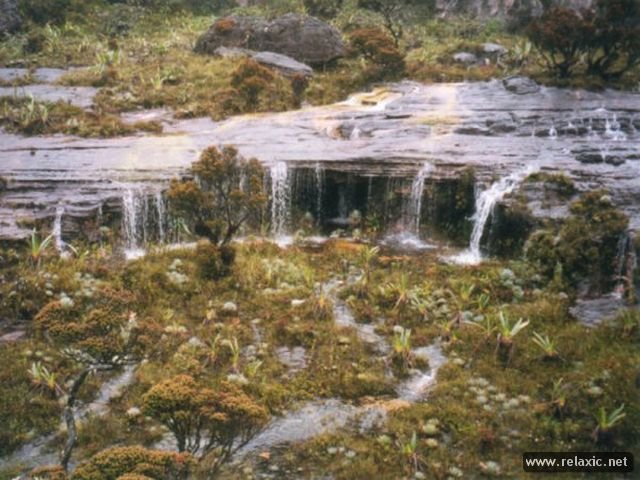 Roraima 022