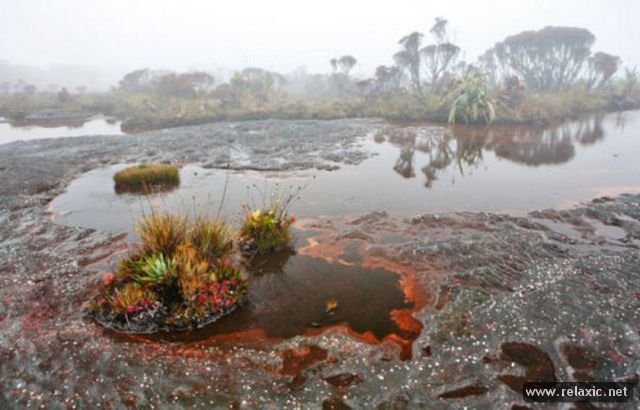 Roraima 023