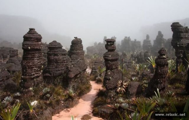 Roraima 027