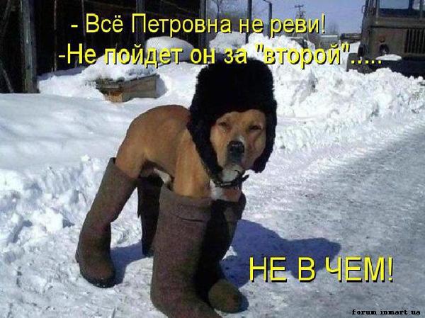 с3