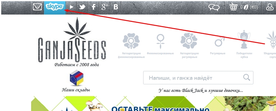 Скайп GanjaSeeds