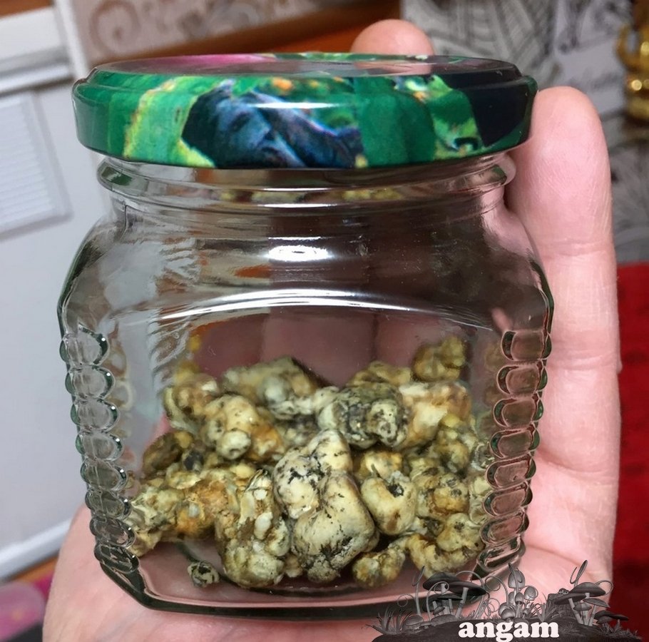 склеры ,камни силы.jpg