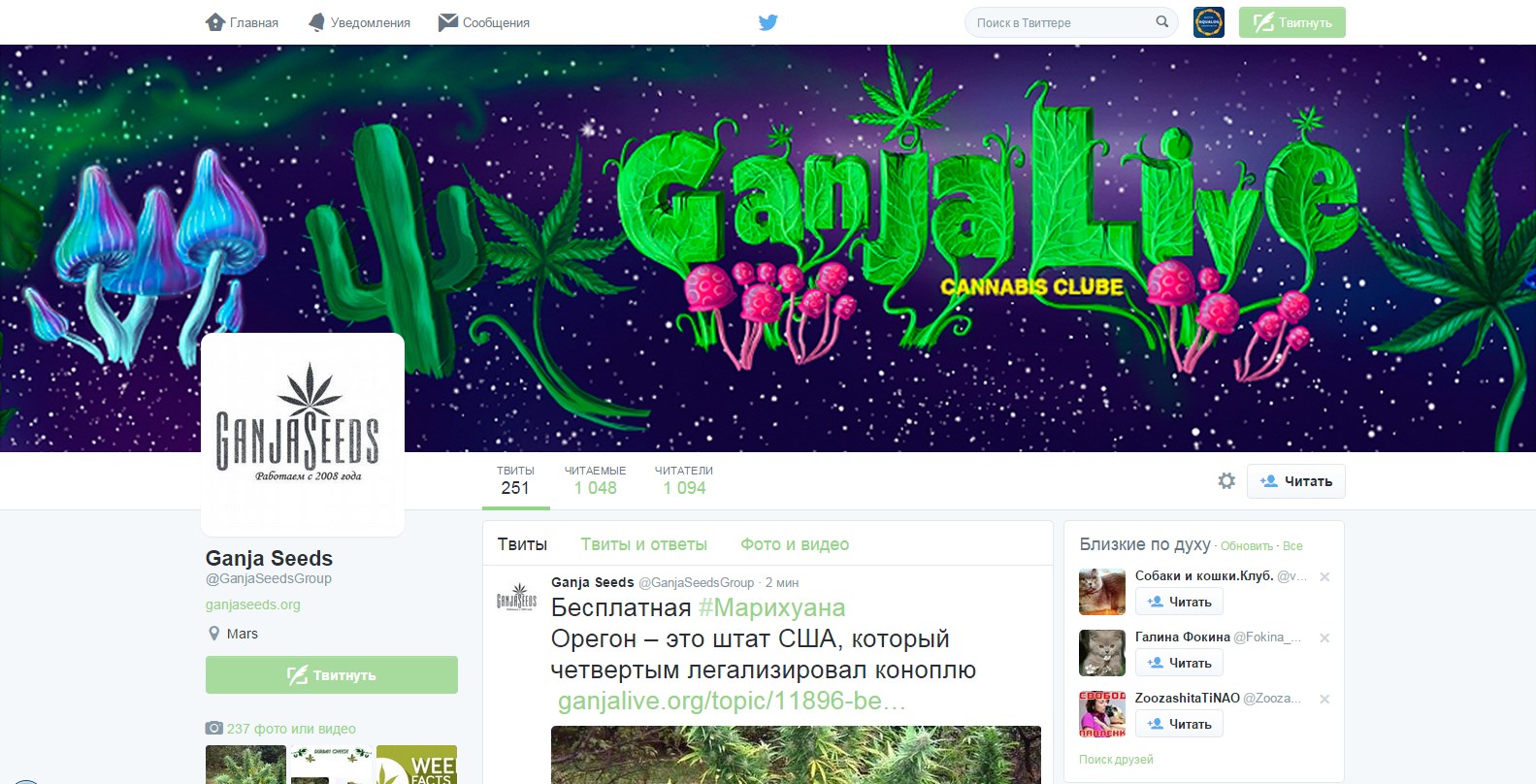скрин твиетра