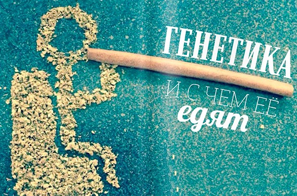 Сохранение генетик