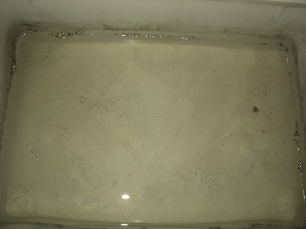 споры воде кейк стоял над водой