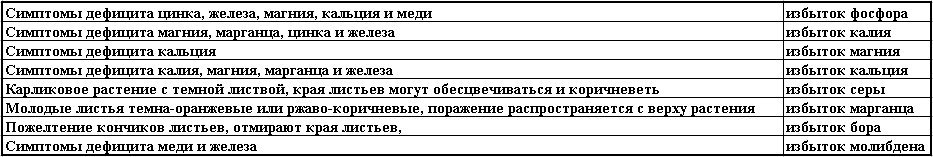 sshot 2