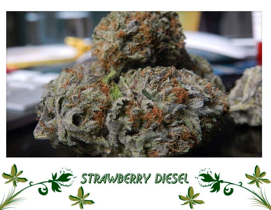 Strawberry Diesel сорт
