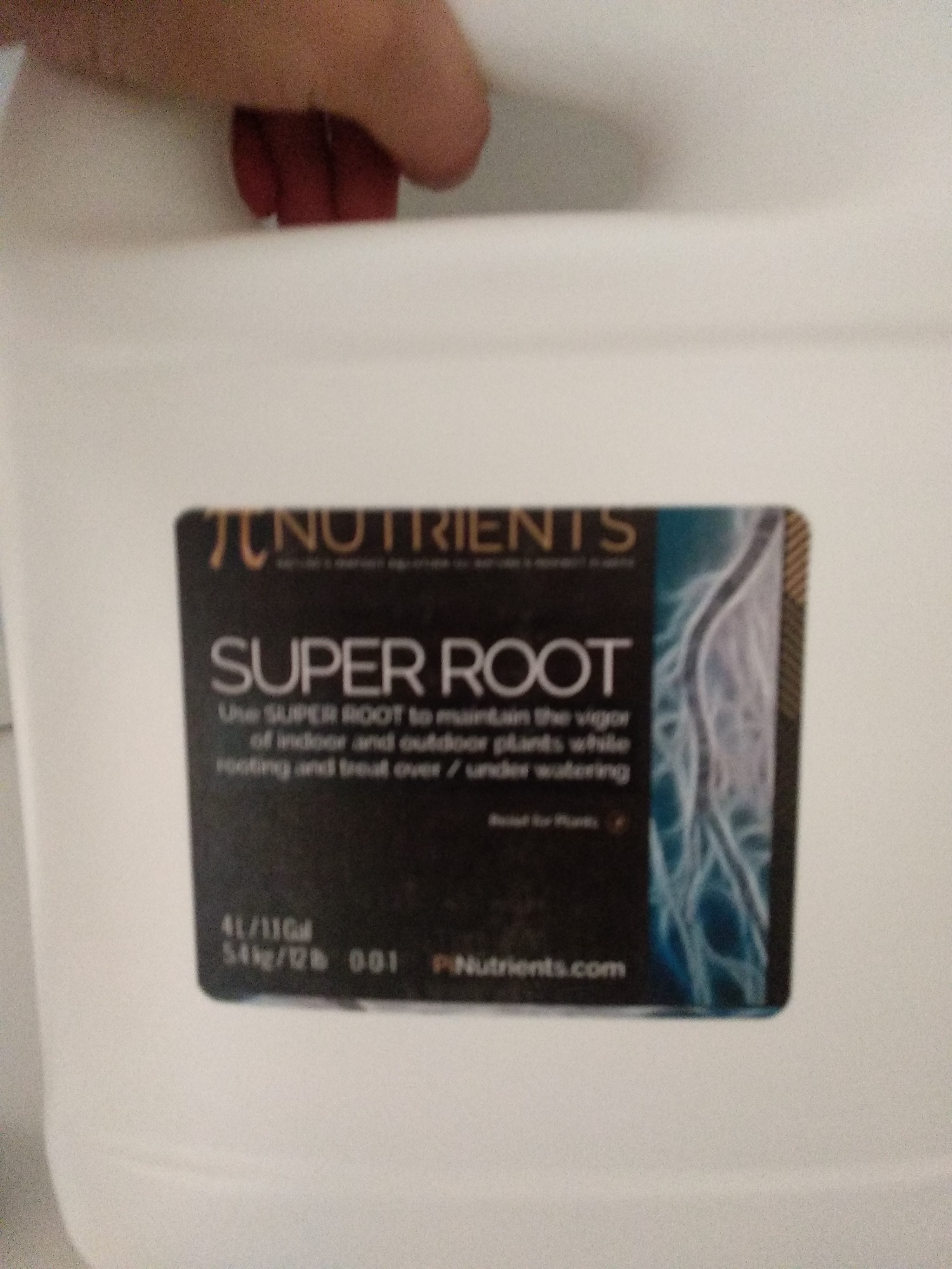 SUPER ROOT