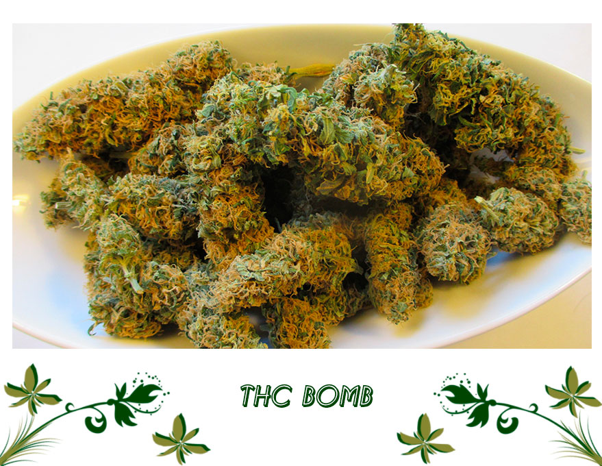 THC Bomb1