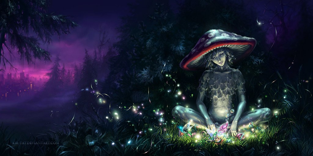 The Mushroom  S Tale By Kir Tat