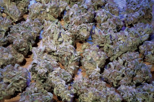 The Story Of Kush 01