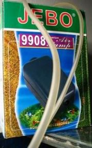 thumb IMG 0017
