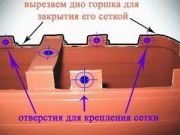 thumb IMG 0044