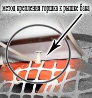 thumb IMG 0071
