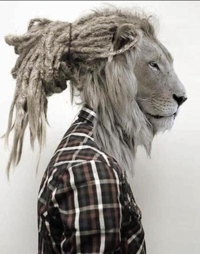 tumblr mg2ji6dWty1s2t0cao1 400