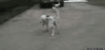 убил