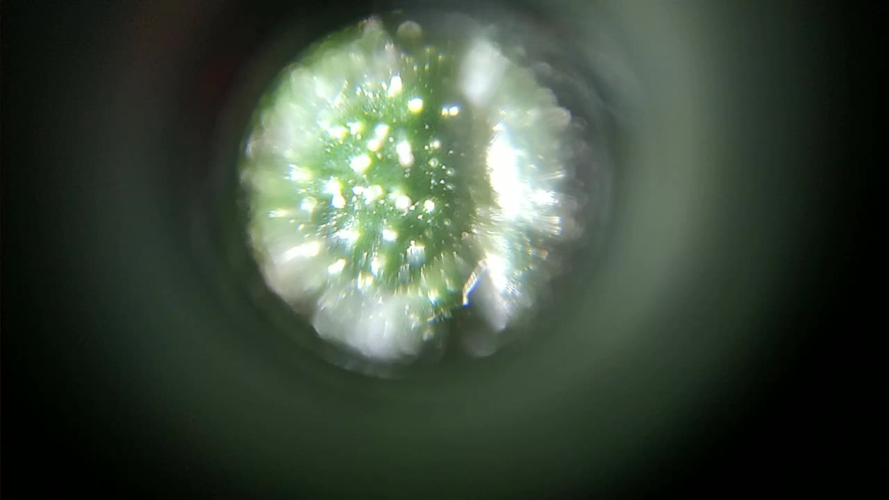 VID_20210629_203641.jpg