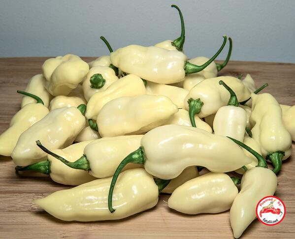 White Fatalii