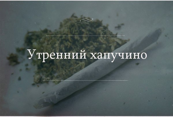 Хапочино конопли