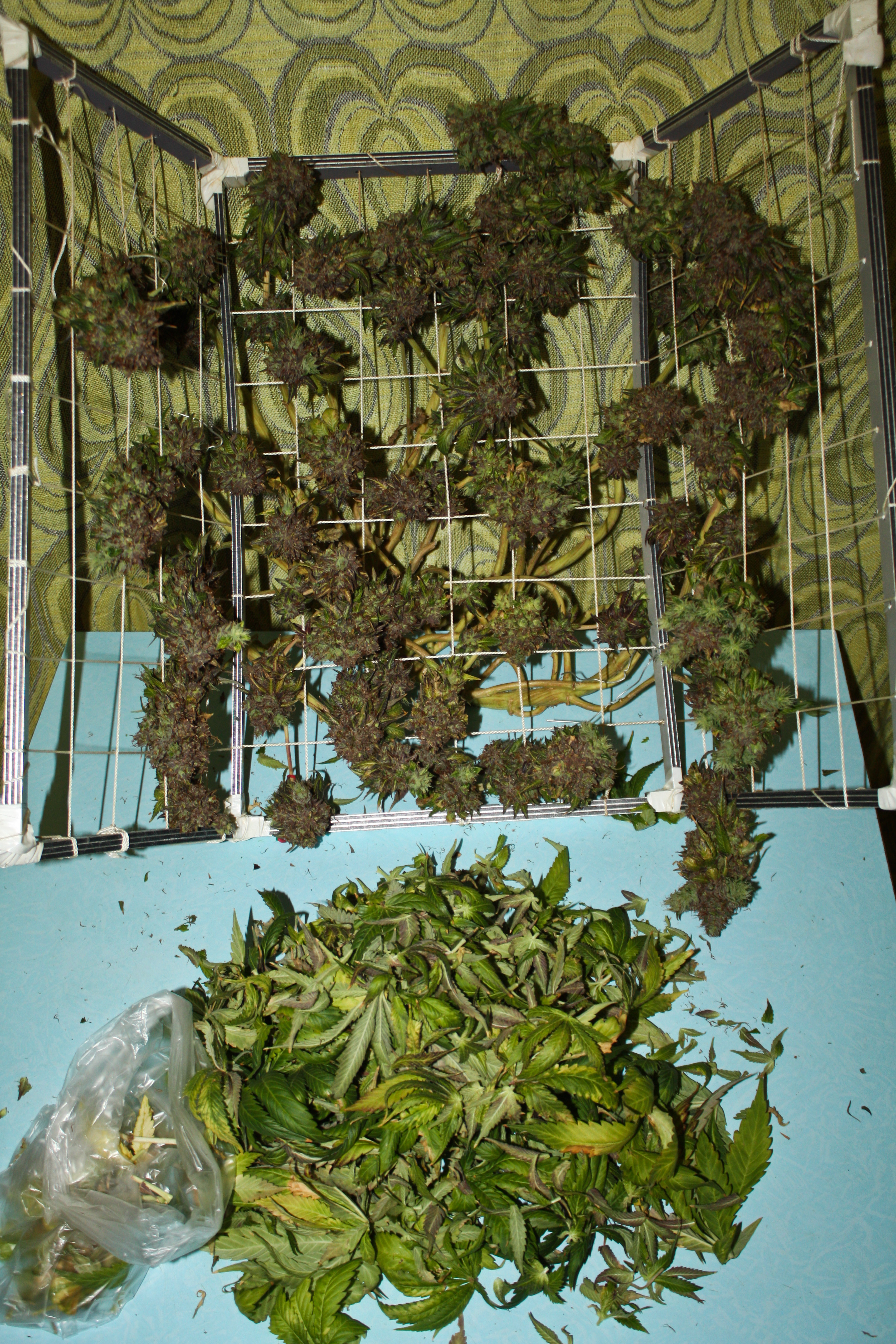 Харвест ч2 22