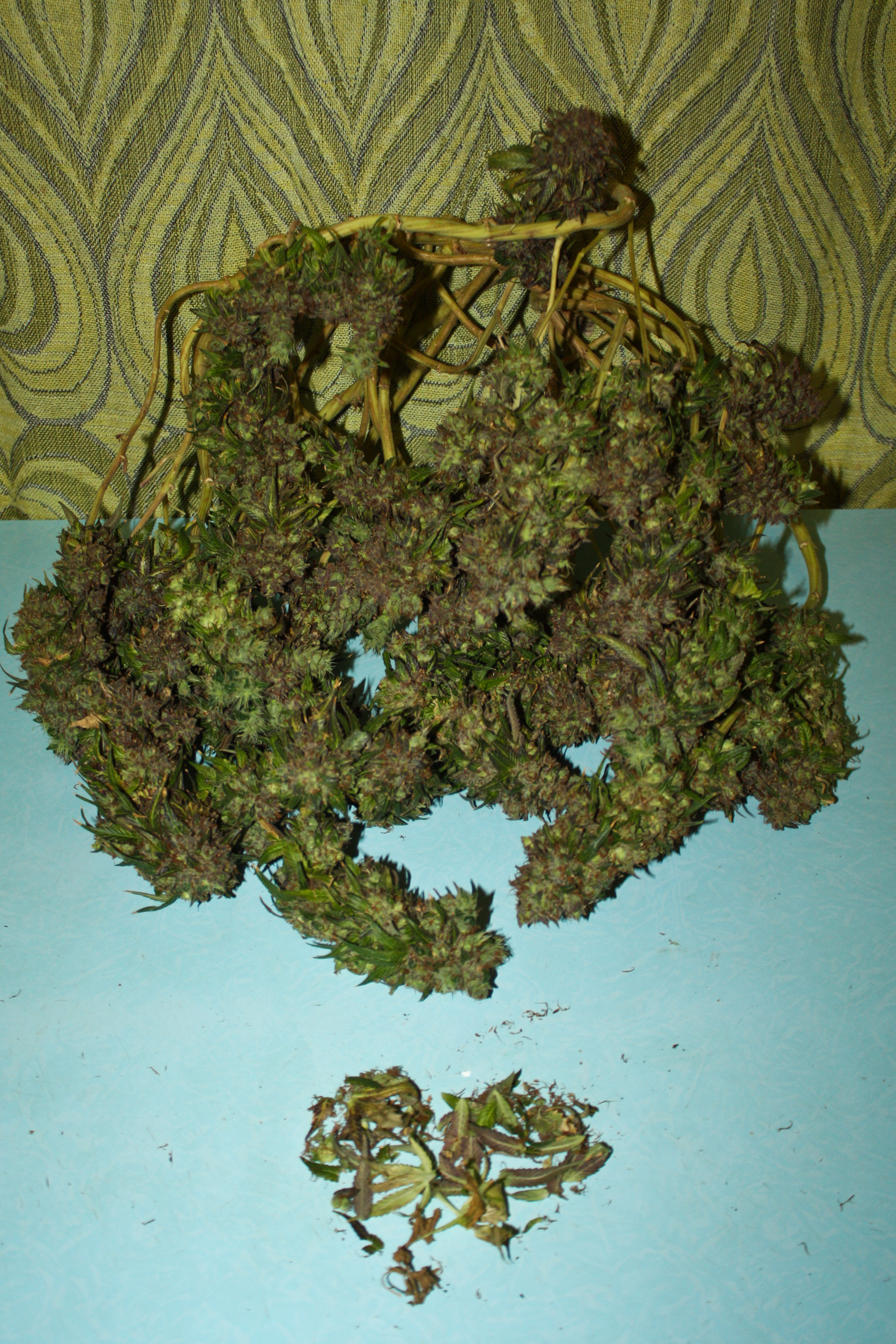 Харвест ч2 25
