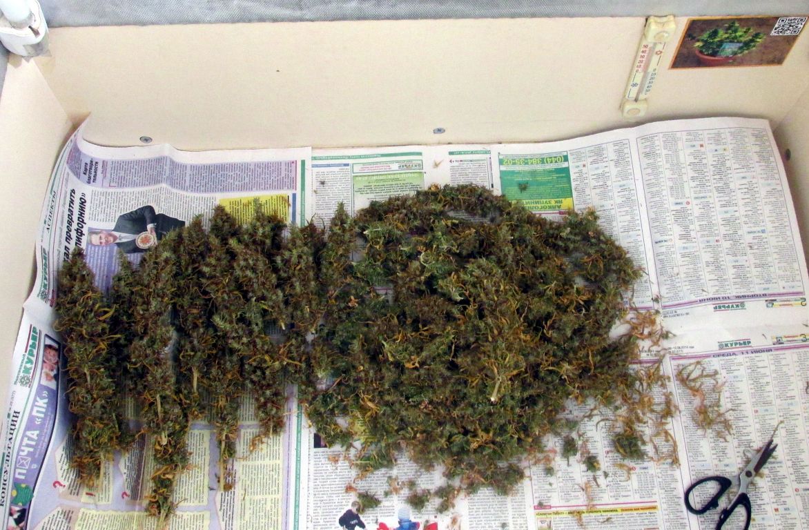 хрв (6)