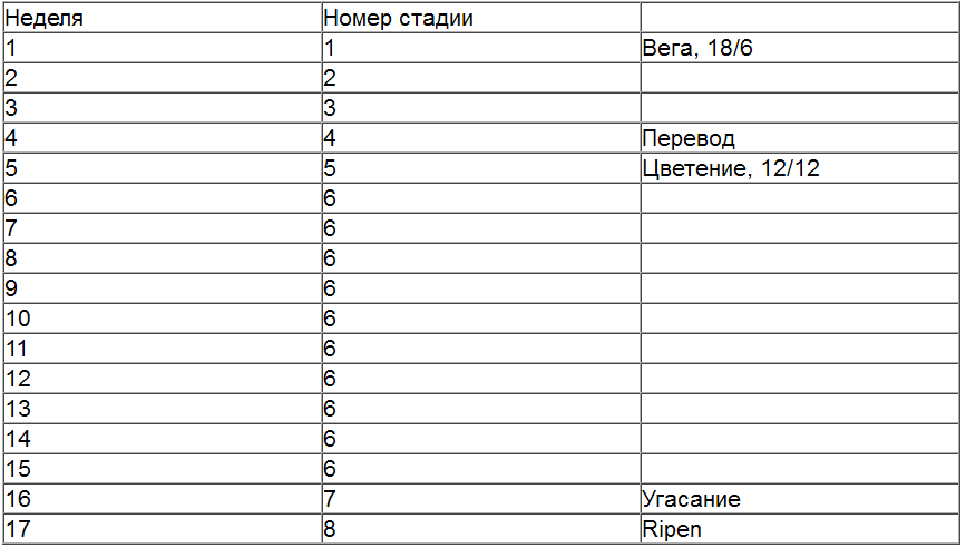 Жизненный цикл растения.