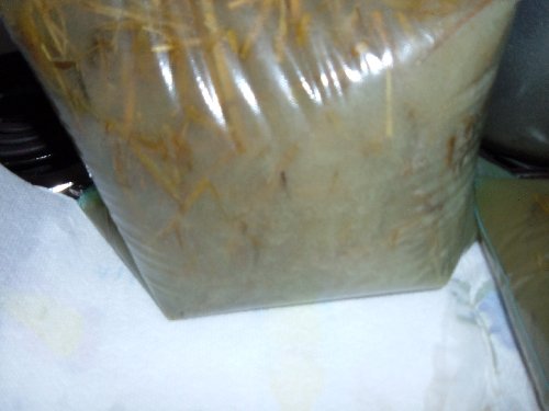 Ziplock002