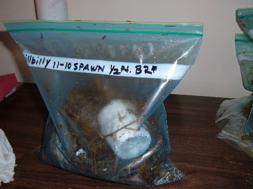 Ziplock003