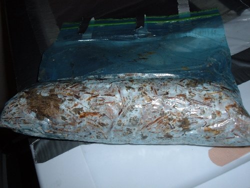 Ziplock005